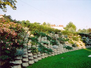 muro-fiorito